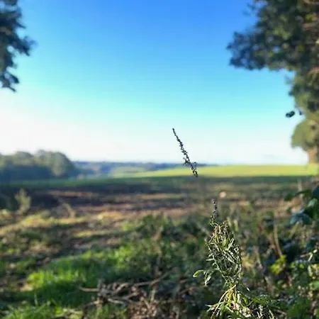度假居 Comfortable Summer House In