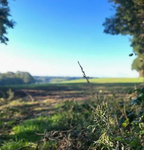 Σπίτι διακοπών Comfortable Summer House In